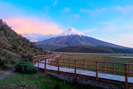 Excursion d'une journée complète au Cotopaxi au départ de Quito, frais d'entrée inclus