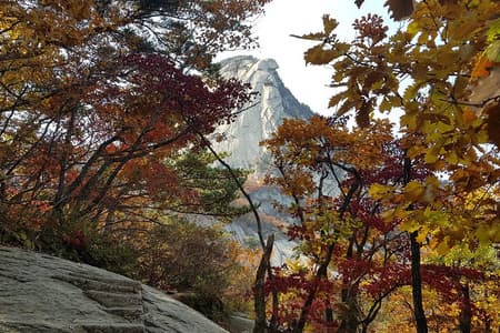Private Hiking tour to Bukhansan Peak(Baegundae: 836.5m) with Mountain Expert