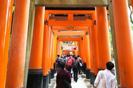 Fushimi Inari & Nara Highlights Walking Tour