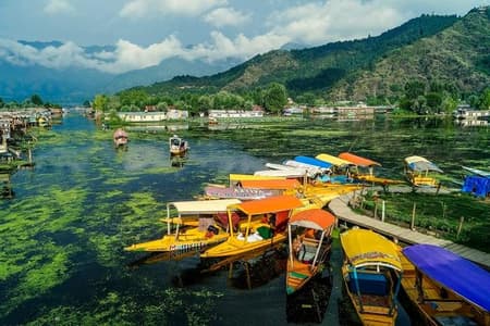 Full day tour of Srinagar with Entrance Fee, Guide, Shikara ride & Lunch