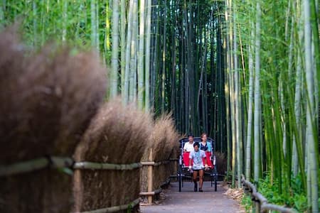 Kyoto Arashiyama Rickshaw Tour with Bamboo Forest