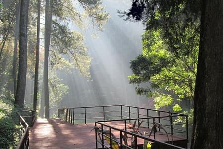 Bandung Private Tour Mountain Volcano and Hotspring ( Overland )