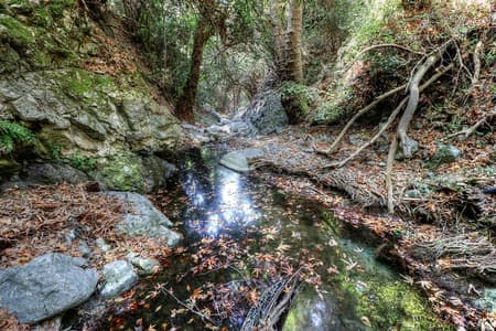 Troodos Jeep Safari von Protaras, Ayia Napa und Larnaca