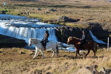Balade à cheval dans le delta de la rivière Glacier avec cascade