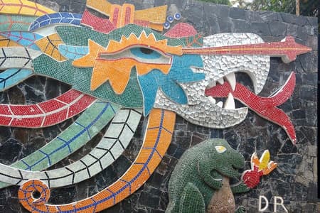 Tour de ville en petit groupe ou privé tout compris de 4 heures et plongeurs