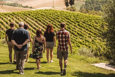 Visite du château et des vignobles de Montalcino avec dégustation