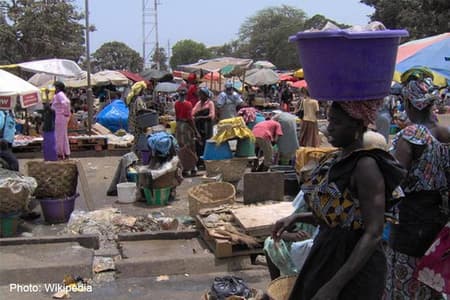 Alles bekijken - Safari Tour