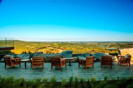 Punta del Este Wine Tour, Bodega Garzon, Traslado privado