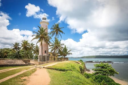Galle Day Tour: Boat Safari, Dutch Fort, Stick Fishing & Turtles