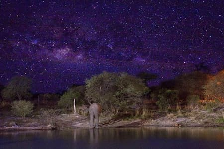 Stargazing on The Wilderness (Harare Night's Tour)