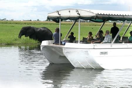 Croisière au coucher du soleil sur la rivière Chobe avec ramassage à l'hôtel de Kasane