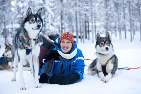 Lapland: Rendier- en huskysafari vanuit Rovaniemi