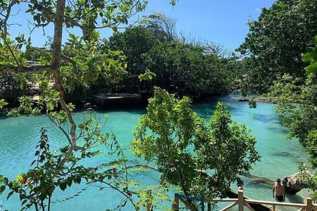 Port Vila Full Day Tour - Experience the Real Vanuatu