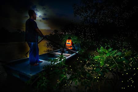 Il tour delle lucciole include cena a base di pesce e giro in barca