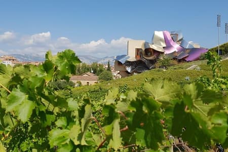 Tour enológico Rioja : 2 bodegas de Bilbao