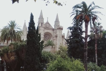 Privétour voor mijn gezin vanaf een cruise