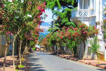 Buyukada Princes’ Island Guided Day Tour with lunch from Istanbul