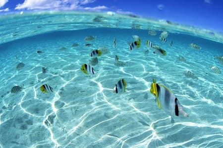 Hurghada: Orange Bay, Snorkeling, Watersports, Lunch & Drinks