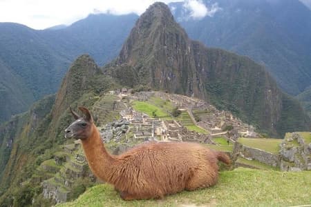 Machu Picchu full day Tour