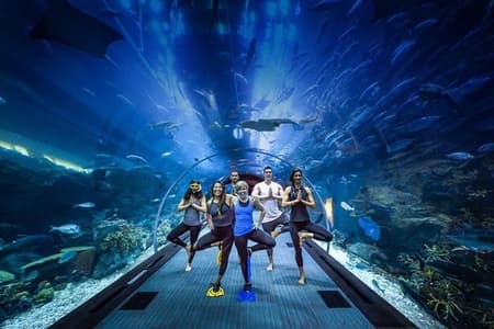 Burj Khalifa, Dubai Aquarium & UWZ with Penguin Cove Tickets
