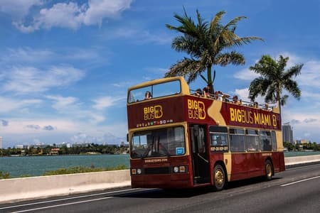 Miami : Hop-on Hop-off-Sightseeing-Tour mit Kreuzfahrtoption
