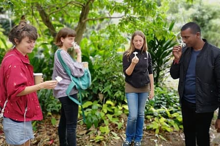 Durban in a Moment: Botanical Gardens, Tribal Museums & Traditional Markets