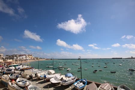 Cadiz Shore Excursion: Scenic & walking tour with cheese and sherry tasting