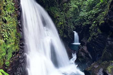 La Paz Waterfall Gardens and Wildlife Refuge Tour from San Jose