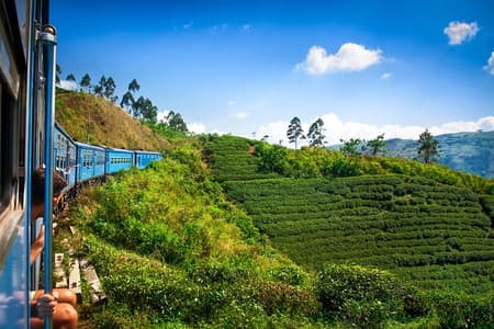 Nuwara Eliya van Kandy met de trein