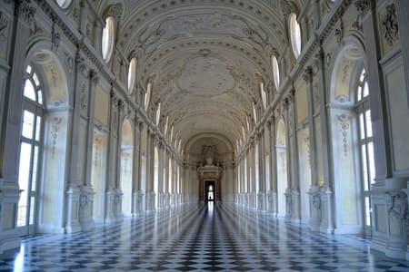 Turin: Reggia of Venaria guided experience