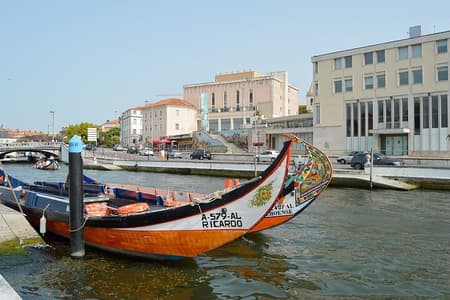Fahren Sie mit einem typischen Moliceiro- oder Mercantel-Boot in Aveiro