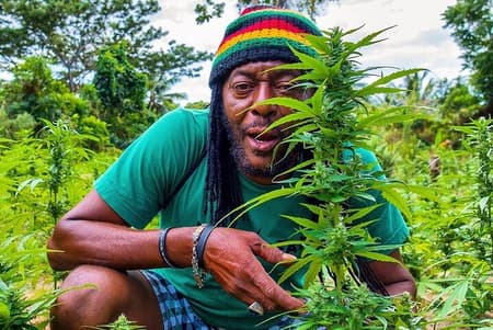 Rastafari Cultural ATV Community Experience from Montego Bay