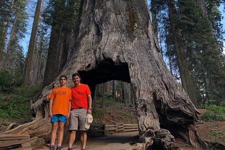 Ontdekkingswandeling Yosemite Valley