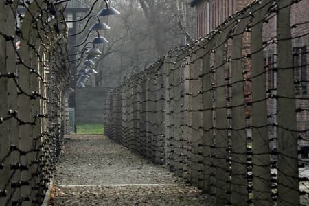 Krakow to Auschwitz Birkenau Guided Tour with Ticket and Transfer