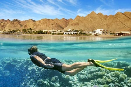 Relaxing Day Tour To Red Sea At Ain El Sokhna From Cairo