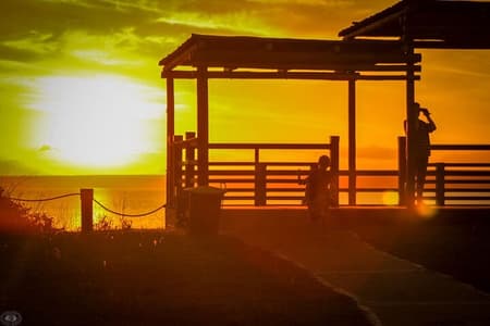 iSimangaliso Sunset Game Drive