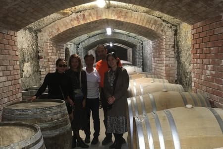 Home to Bull's Blood red wine! Eger with winetaste private tour
