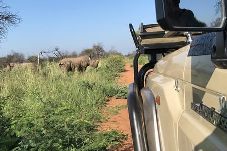 Safari-Pirschfahrt: Dinokeng Game Reserve