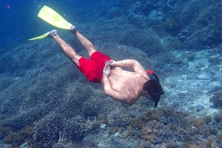 Van Lembongan: Snorkeltocht naar Nusa Lembongan en het eiland Nusa Penida