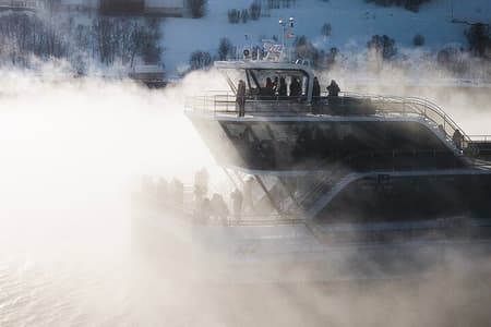 Half Day Arctic Fjord Cruise from Tromso