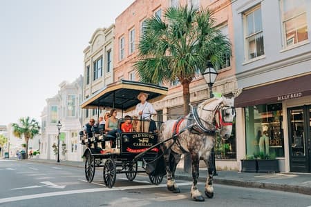 Tour storico a cavallo e in carrozza dell'Old South Carriage di Charleston
