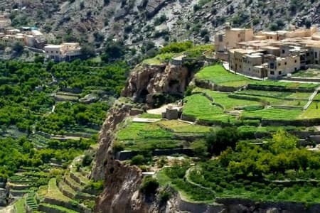 Full Day Private Nizwa/Jebel Akhdar