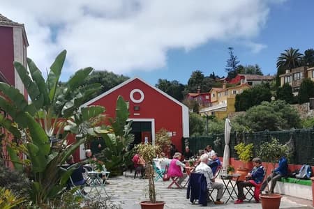 Winery Tour, Wine Museum, and Tasting in Gran Canaria