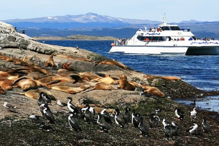 Navegación hacia el canal Beagle y la isla de los lobos marinos con traslados