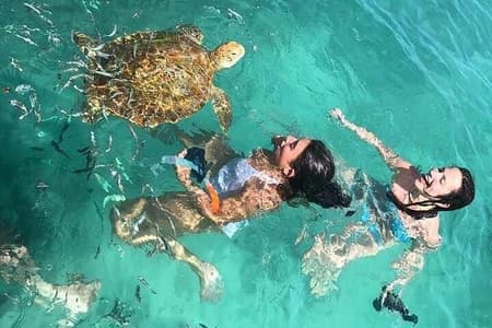 Full Day Tour: Snorkel with Giant Turtles & Explore the North