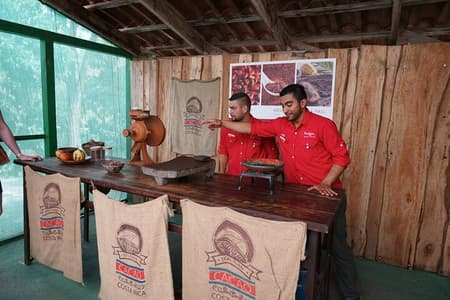 Coffee, Chocolate & Sugar Cane Tour (Regular)