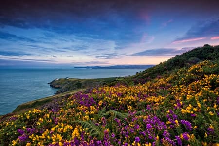 Howth Coastal Half-Day Bus Tour from Dublin with Live Guide