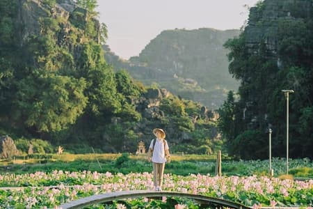Full-Day Ninh Binh Highlights Tour from Hanoi