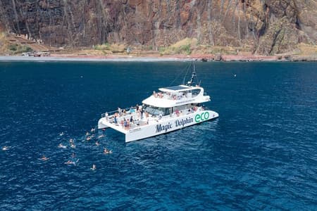 Observação de baleias e golfinhos da Madeira em um catamarã de luxo