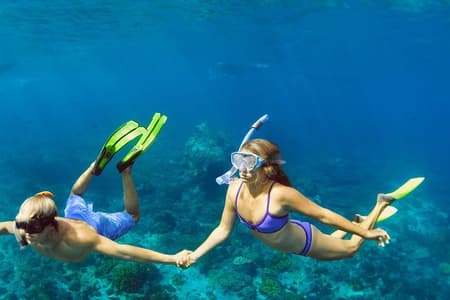 Viaggi di snorkeling a Daymaniat Islands Sharing Trip